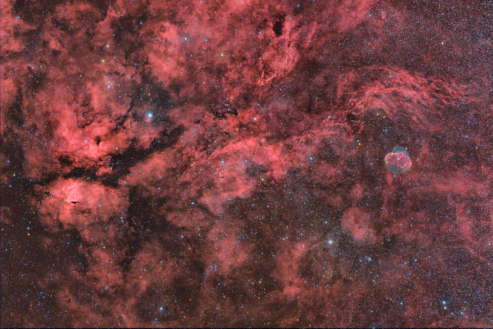 Sadr Gamma Cygni Wide Field Astronomy Magazine Interactive Star