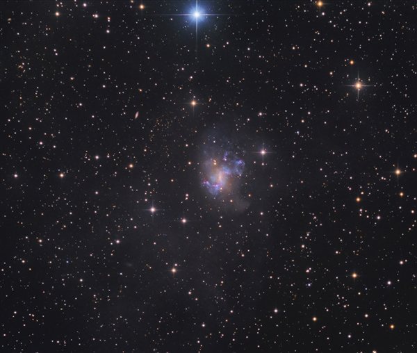 Ngc 1313