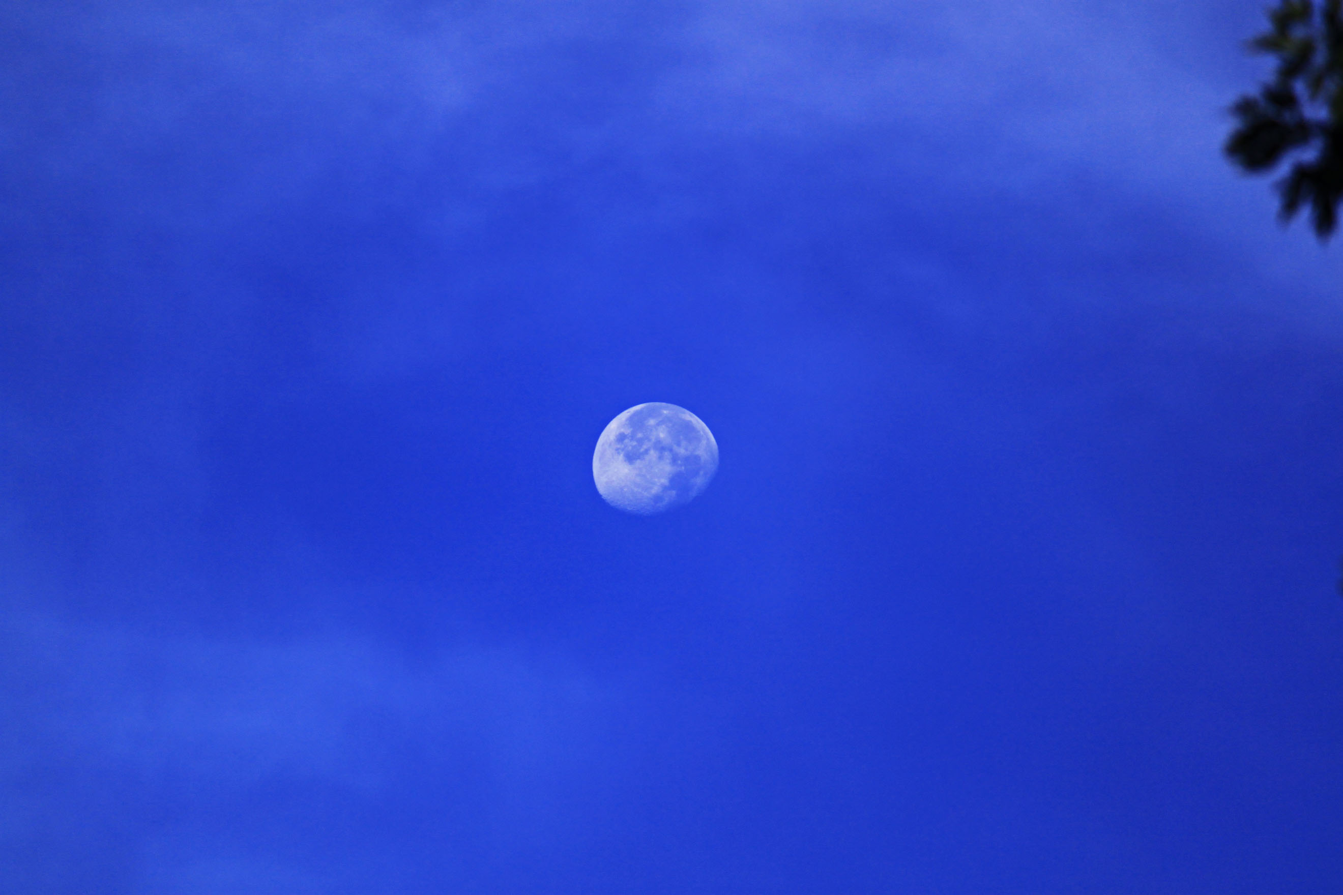 Каким цветом луна на небе. Голубая Луна астрономия. Голубая Луна астрономическое явление. Синяя Луна. Луна на синем небе.